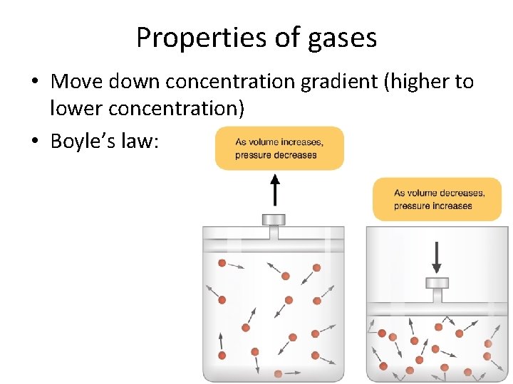 Properties of gases • Move down concentration gradient (higher to lower concentration) • Boyle’s