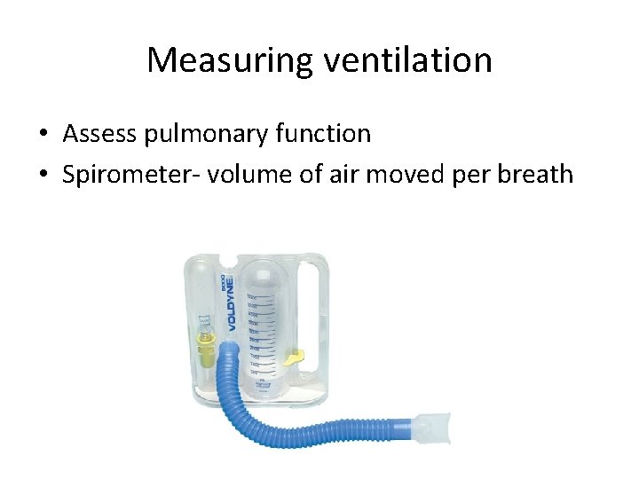 Measuring ventilation • Assess pulmonary function • Spirometer- volume of air moved per breath