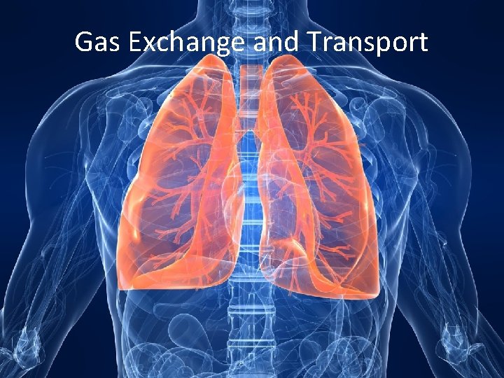 Gas Exchange and Transport 