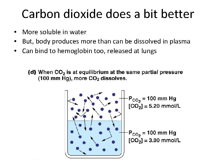 Carbon dioxide does a bit better • More soluble in water • But, body