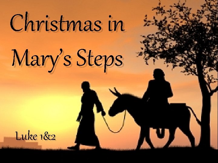 Christmas in Mary’s Steps Luke 1&2 