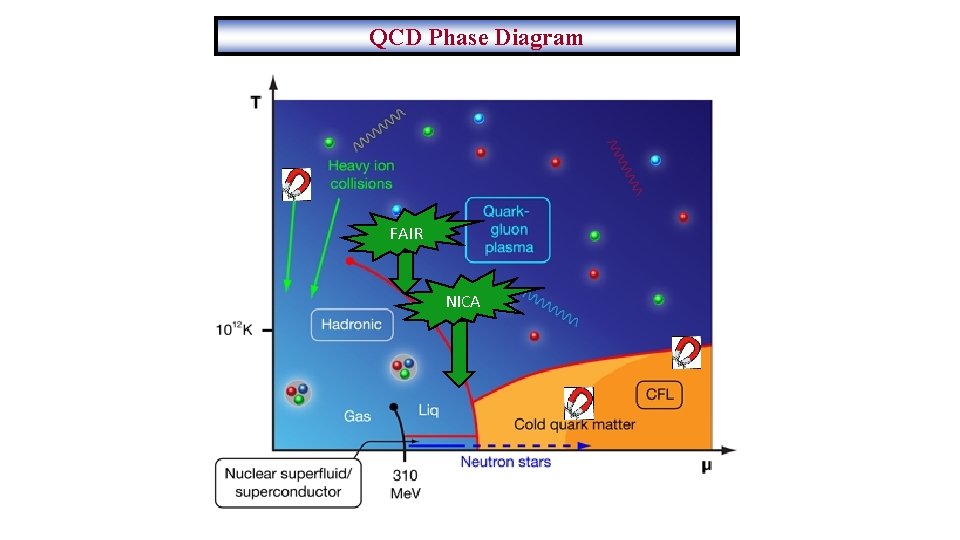 QCD Phase Diagram FAIR NICA 