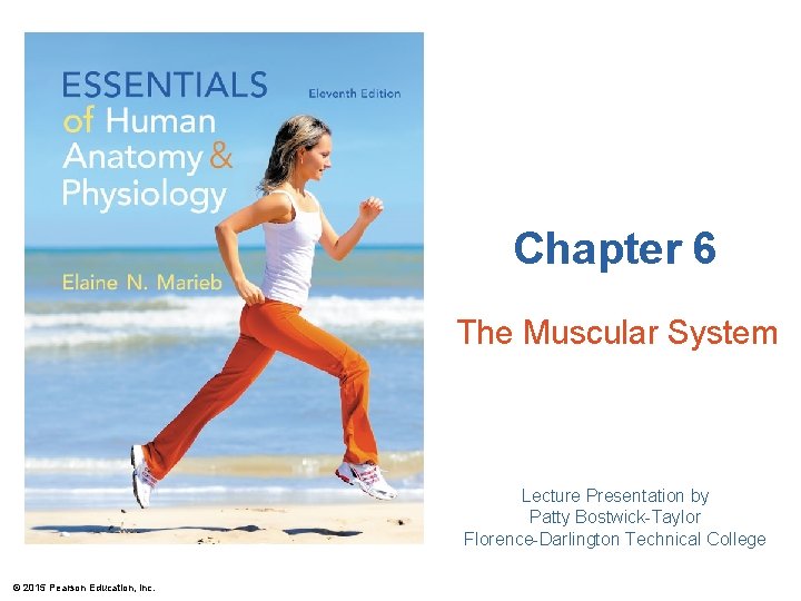 Chapter 6 The Muscular System Lecture Presentation by Patty Bostwick-Taylor Florence-Darlington Technical College ©