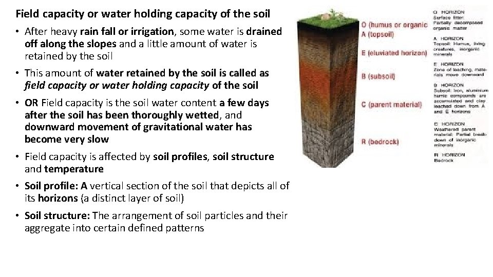 Field capacity or water holding capacity of the soil • After heavy rain fall