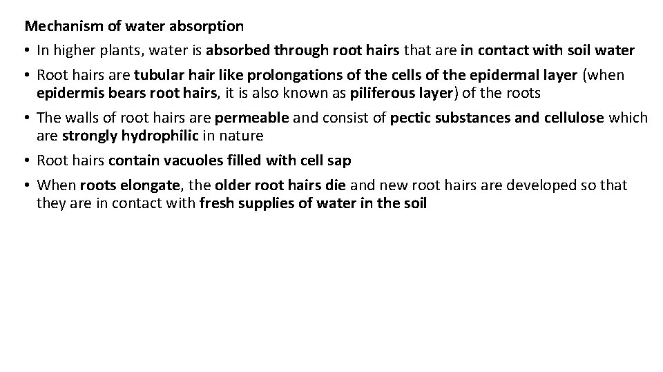 Mechanism of water absorption • In higher plants, water is absorbed through root hairs