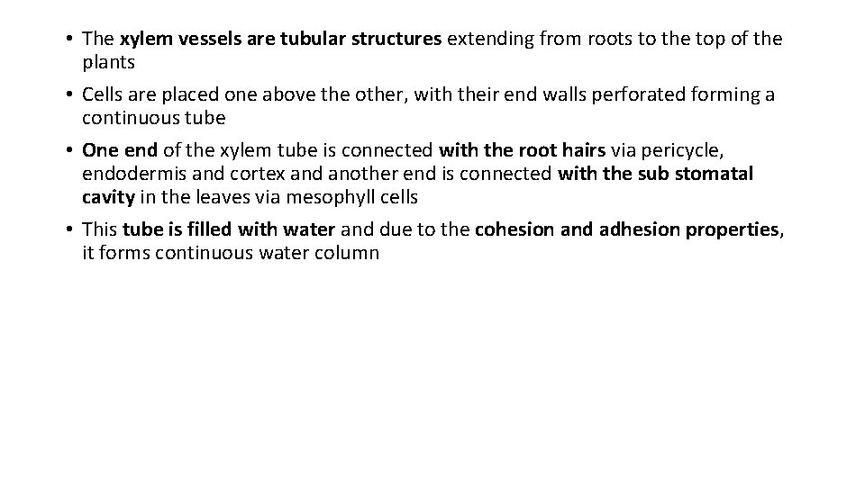  • The xylem vessels are tubular structures extending from roots to the top