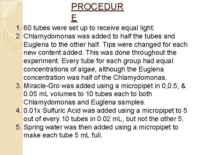 PROCEDUR E 1. 60 tubes were set up to receive equal light. 2. Chlamydomonas