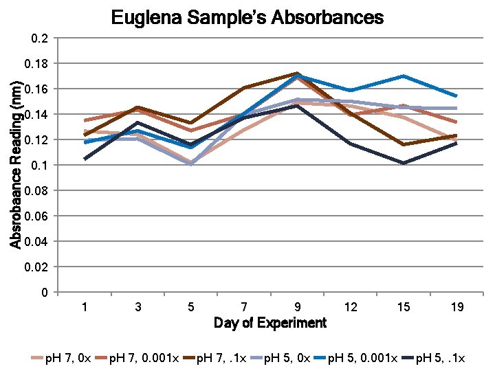 Euglena Sample’s Absorbances 0. 2 Absrobaance Reading (nm) 0. 18 0. 16 0. 14