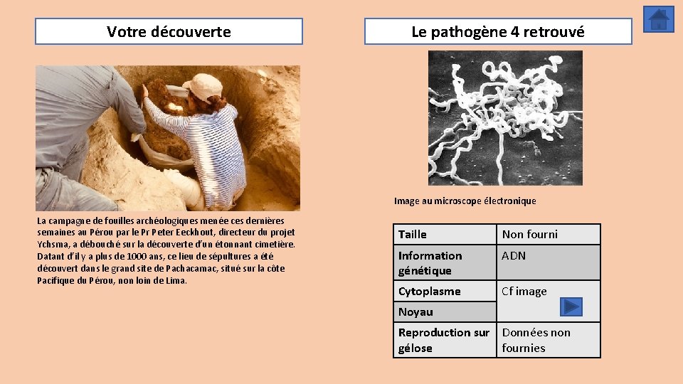 Votre découverte Le pathogène 4 retrouvé Image au microscope électronique La campagne de fouilles