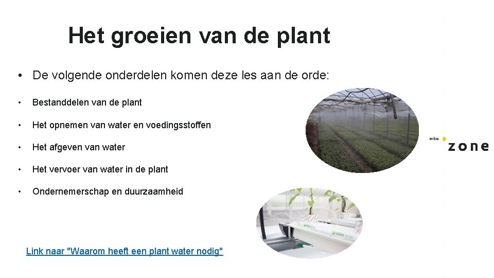 Het groeien van de plant • De volgende onderdelen komen deze les aan de