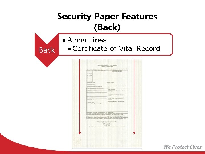 Security Paper Features (Back) Back • Alpha Lines • Certificate of Vital Record 21
