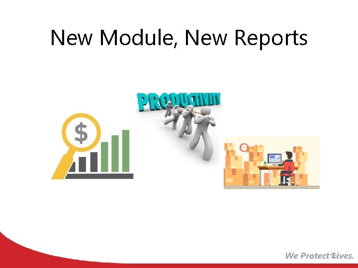 New Module, New Reports 56 