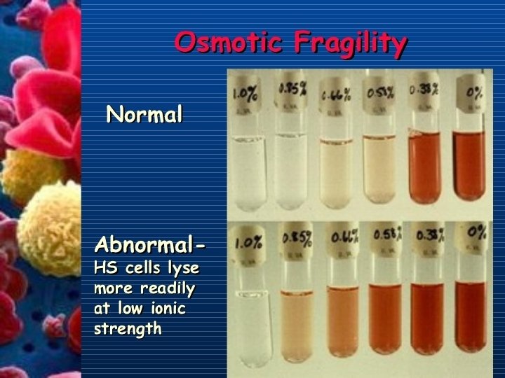 l Incubation of erythrocytes at 37°C for 24 hours increases the test’s sensitivity 