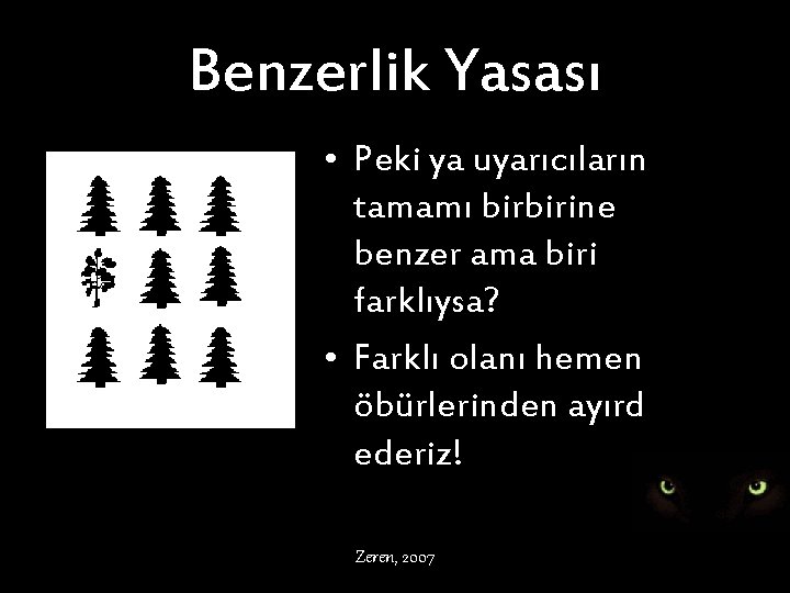 Benzerlik Yasası • Peki ya uyarıcıların tamamı birbirine benzer ama biri farklıysa? • Farklı