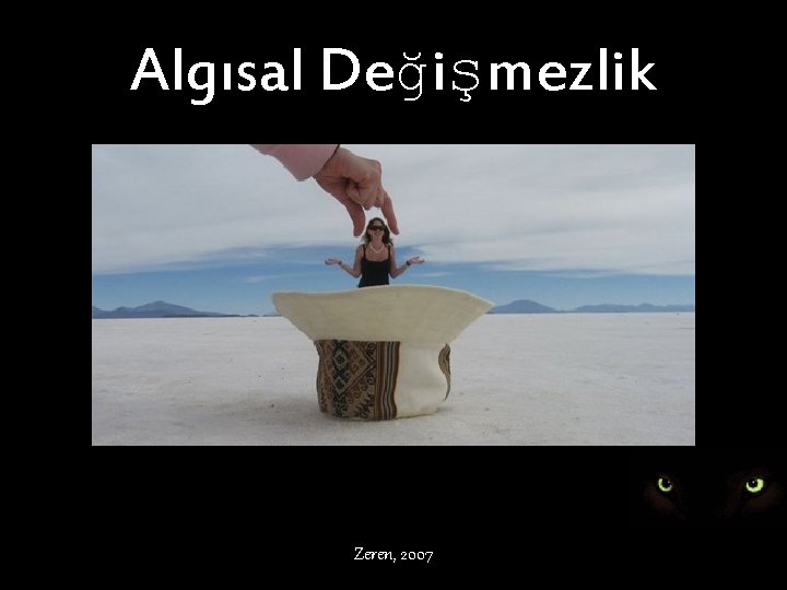 Algısal Değişmezlik Zeren, 2007 