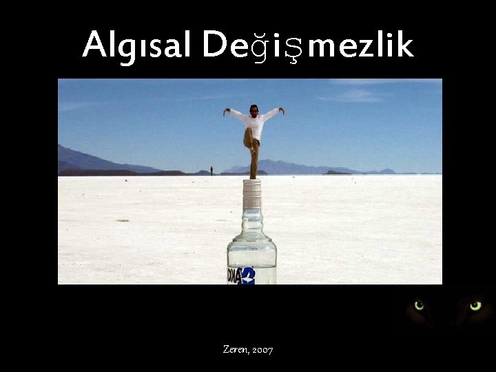Algısal Değişmezlik Zeren, 2007 