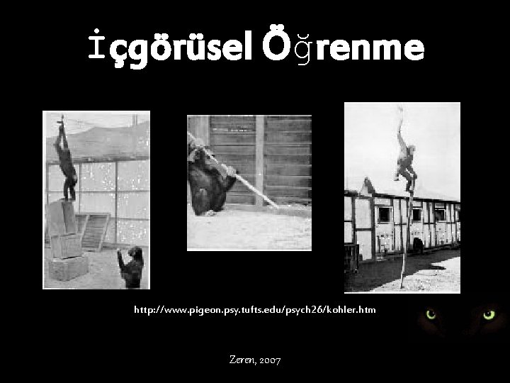 İçgörüsel Öğrenme http: //www. pigeon. psy. tufts. edu/psych 26/kohler. htm Zeren, 2007 