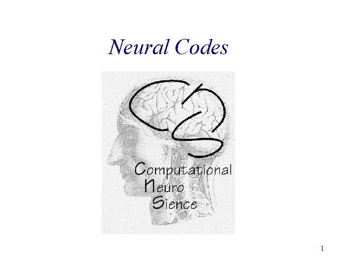 Neural Codes 1 