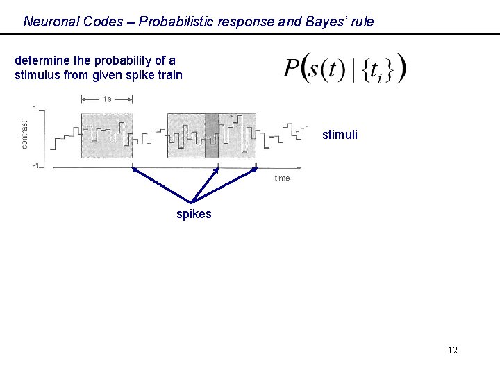 Neuronal Codes – Probabilistic response and Bayes’ rule determine the probability of a stimulus