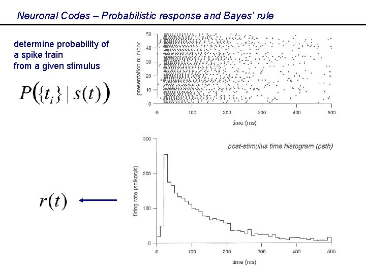 Neuronal Codes – Probabilistic response and Bayes’ rule determine probability of a spike train
