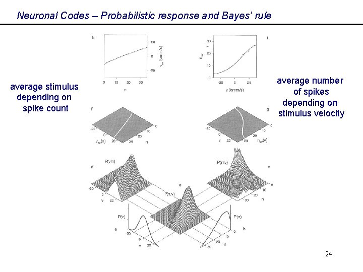 Neuronal Codes – Probabilistic response and Bayes’ rule average stimulus depending on spike count