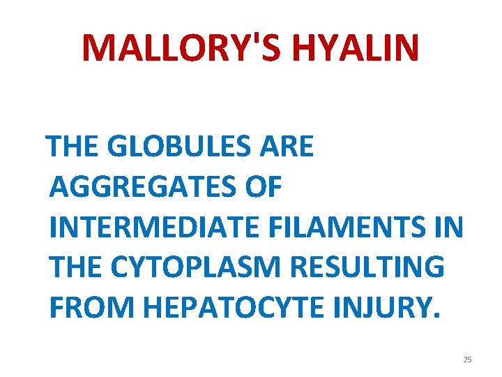 MALLORY'S HYALIN THE GLOBULES ARE AGGREGATES OF INTERMEDIATE FILAMENTS IN THE CYTOPLASM RESULTING FROM