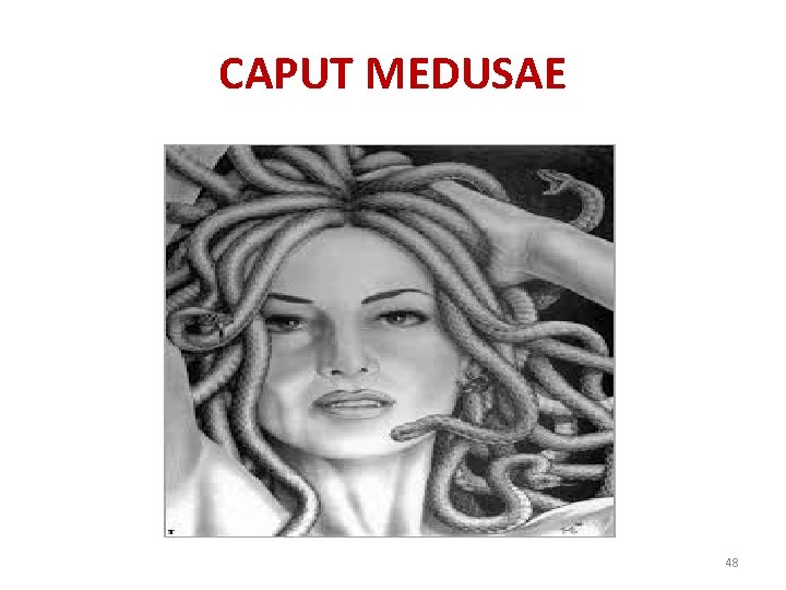 CAPUT MEDUSAE 48 