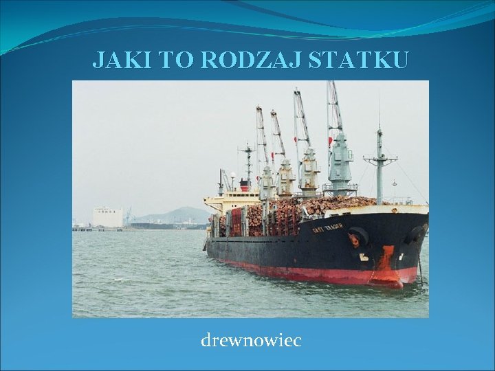 JAKI TO RODZAJ STATKU drewnowiec 