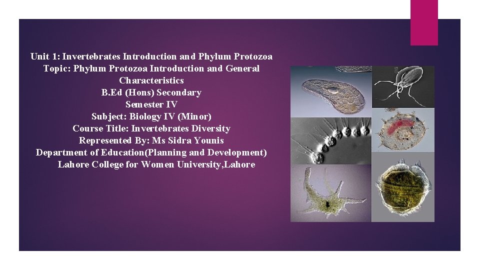 Unit 1: Invertebrates Introduction and Phylum Protozoa Topic: Phylum Protozoa Introduction and General Characteristics