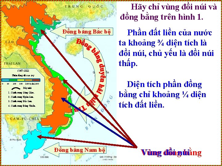 Hãy chỉ vùng đồi núi và đồng bằng trên hình 1. Đồng bằng Bắc