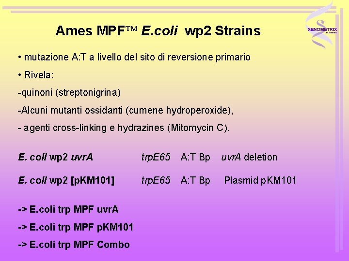 Ames MPF E. coli wp 2 Strains • mutazione A: T a livello del