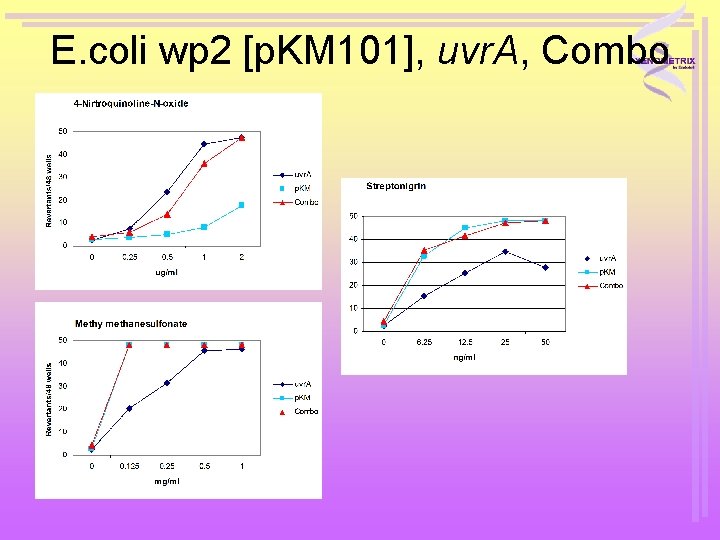 E. coli wp 2 [p. KM 101], uvr. A, Combo 