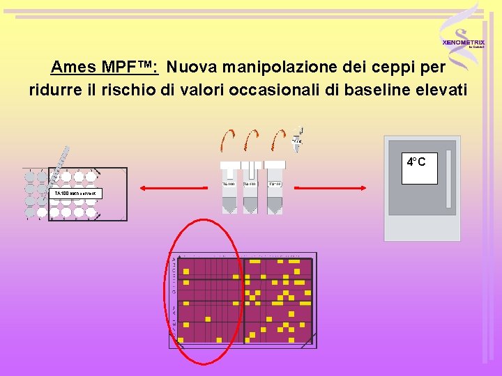  Ames MPF™: Nuova manipolazione dei ceppi per ridurre il rischio di valori occasionali