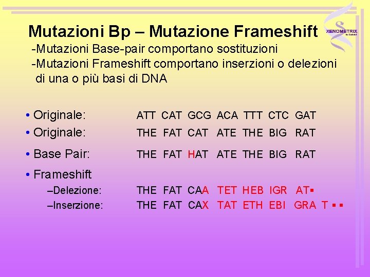 Mutazioni Bp – Mutazione Frameshift -Mutazioni Base-pair comportano sostituzioni -Mutazioni Frameshift comportano inserzioni o