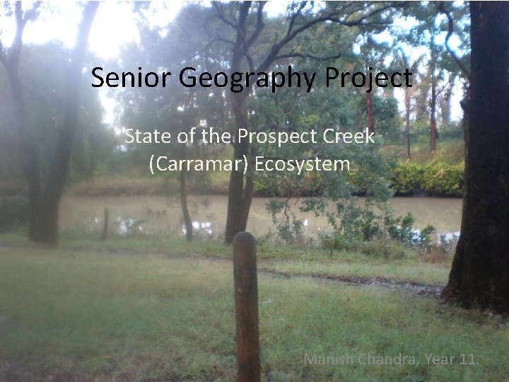 Senior Geography Project State of the Prospect Creek (Carramar) Ecosystem Manish Chandra, Year 11. Senior Geography Project State of the Prospect Creek (Carramar) Ecosystem Manish Chandra, Year 11.