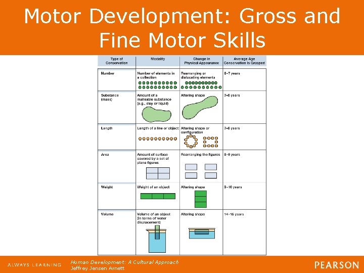 Motor Development: Gross and Fine Motor Skills Human Development: A Cultural Approach Jeffrey Jensen Motor Development: Gross and Fine Motor Skills Human Development: A Cultural Approach Jeffrey Jensen
