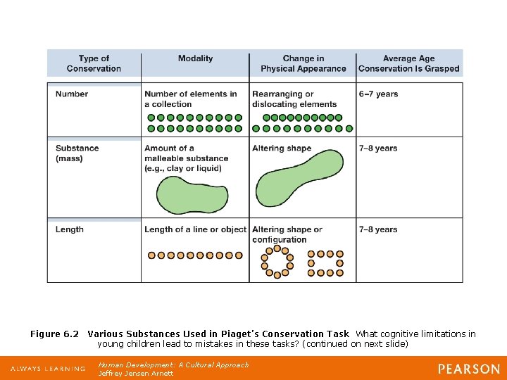 Figure 6. 2 Various Substances Used in Piaget’s Conservation Task What cognitive limitations in Figure 6. 2 Various Substances Used in Piaget’s Conservation Task What cognitive limitations in