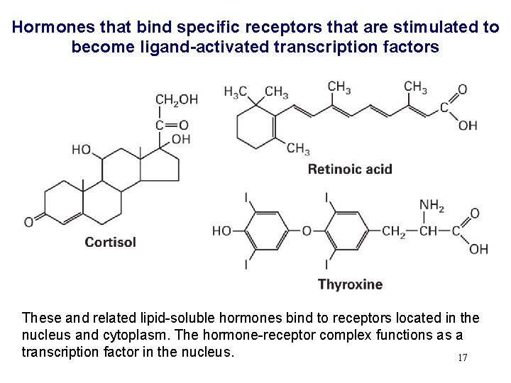 Hormones that bind specific receptors that are stimulated to become ligand-activated transcription factors These