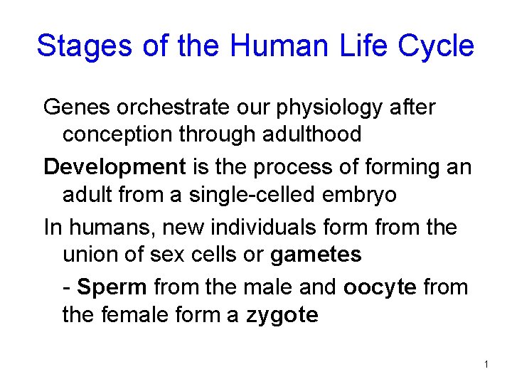 Stages of the Human Life Cycle Genes orchestrate our physiology after conception through adulthood