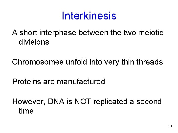 Interkinesis A short interphase between the two meiotic divisions Chromosomes unfold into very thin