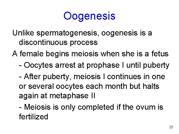 Oogenesis Unlike spermatogenesis, oogenesis is a discontinuous process A female begins meiosis when she