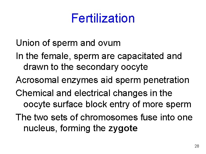 Fertilization Union of sperm and ovum In the female, sperm are capacitated and drawn