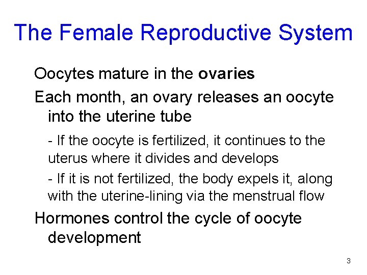The Female Reproductive System Oocytes mature in the ovaries Each month, an ovary releases