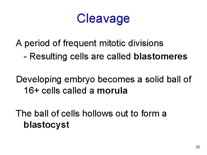 Cleavage A period of frequent mitotic divisions - Resulting cells are called blastomeres Developing