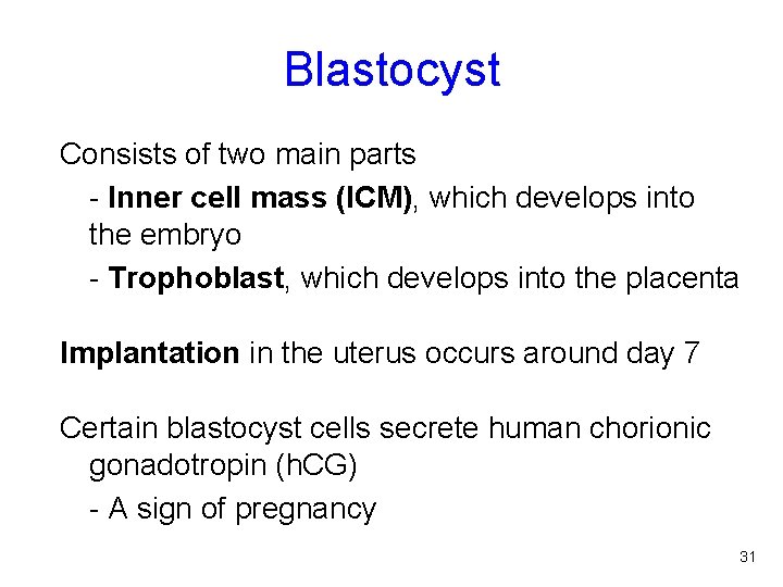 Blastocyst Consists of two main parts - Inner cell mass (ICM), which develops into