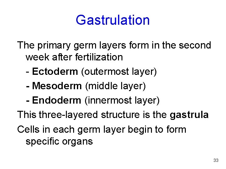 Gastrulation The primary germ layers form in the second week after fertilization - Ectoderm