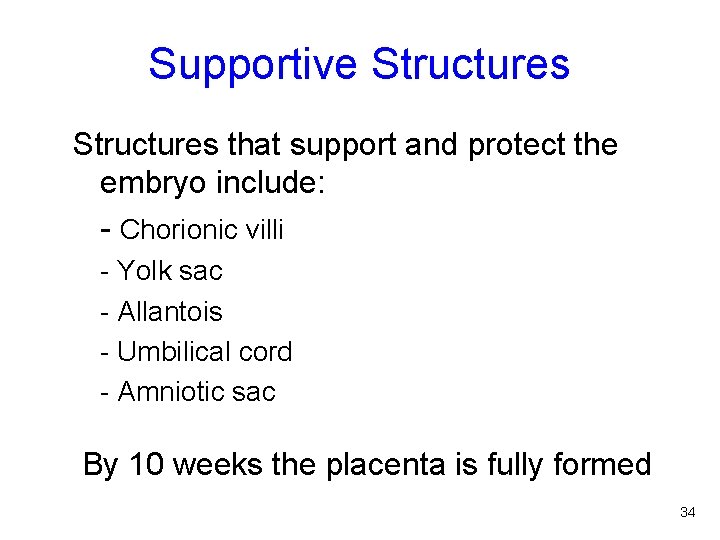 Supportive Structures that support and protect the embryo include: - Chorionic villi - Yolk