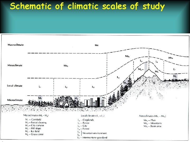 Schematic of climatic scales of study 