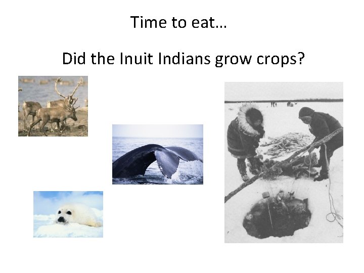 Time to eat… Did the Inuit Indians grow crops? 