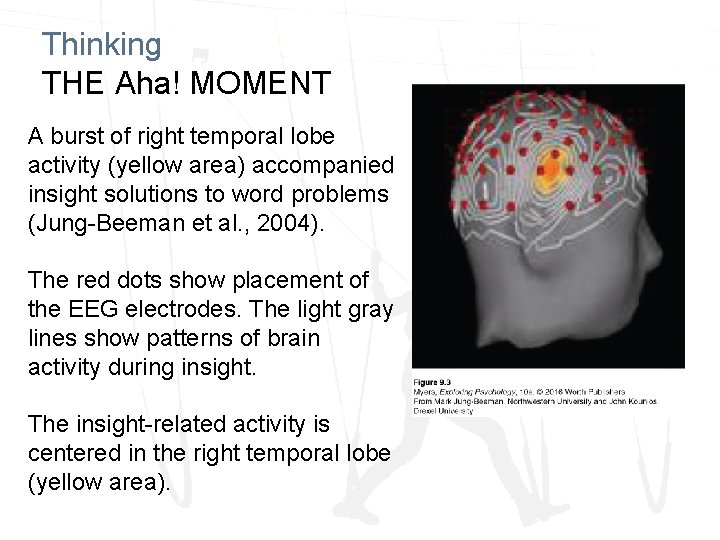 Chapter 9 Thinking Language and Intelligence Josef F